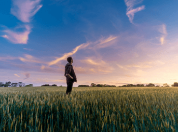 Teenage boy looking at sky in a field