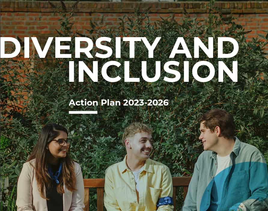 diversity and inclusion screenshot