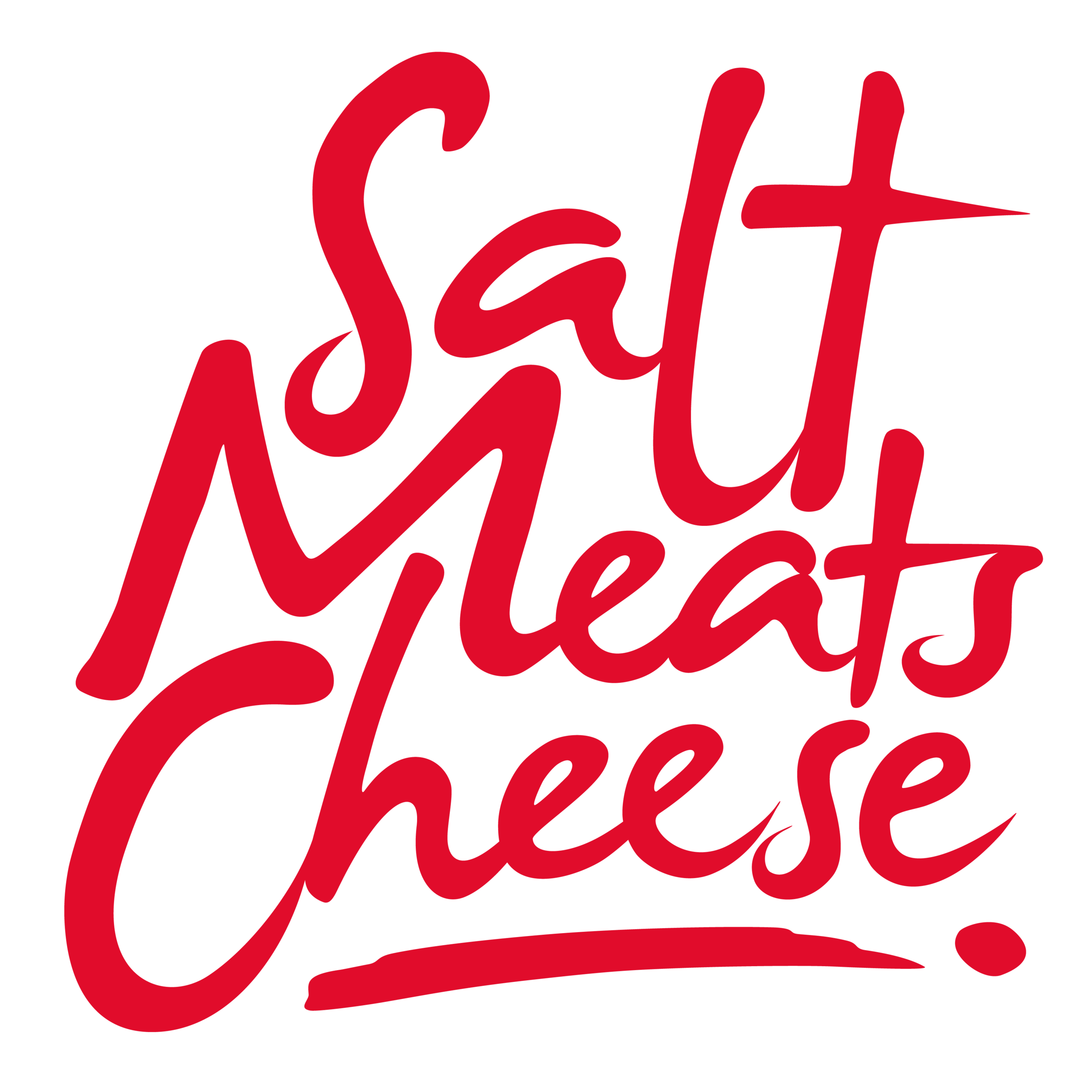 salt meats cheese logo 